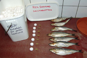 Salztabletten fuer Fische