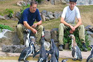 Salztablettenverwendung bei Zoo-Fuetterung